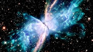 Hubble Uzay Teleskobu Kelebek ve Kalkanböceği Nebulalarının yeni fotoğraflarını çekti