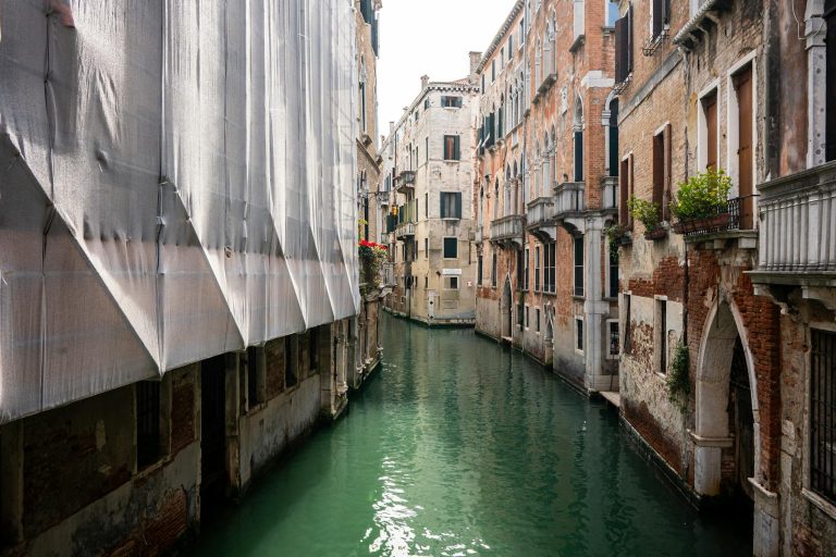 Venice Biennale protest Israel