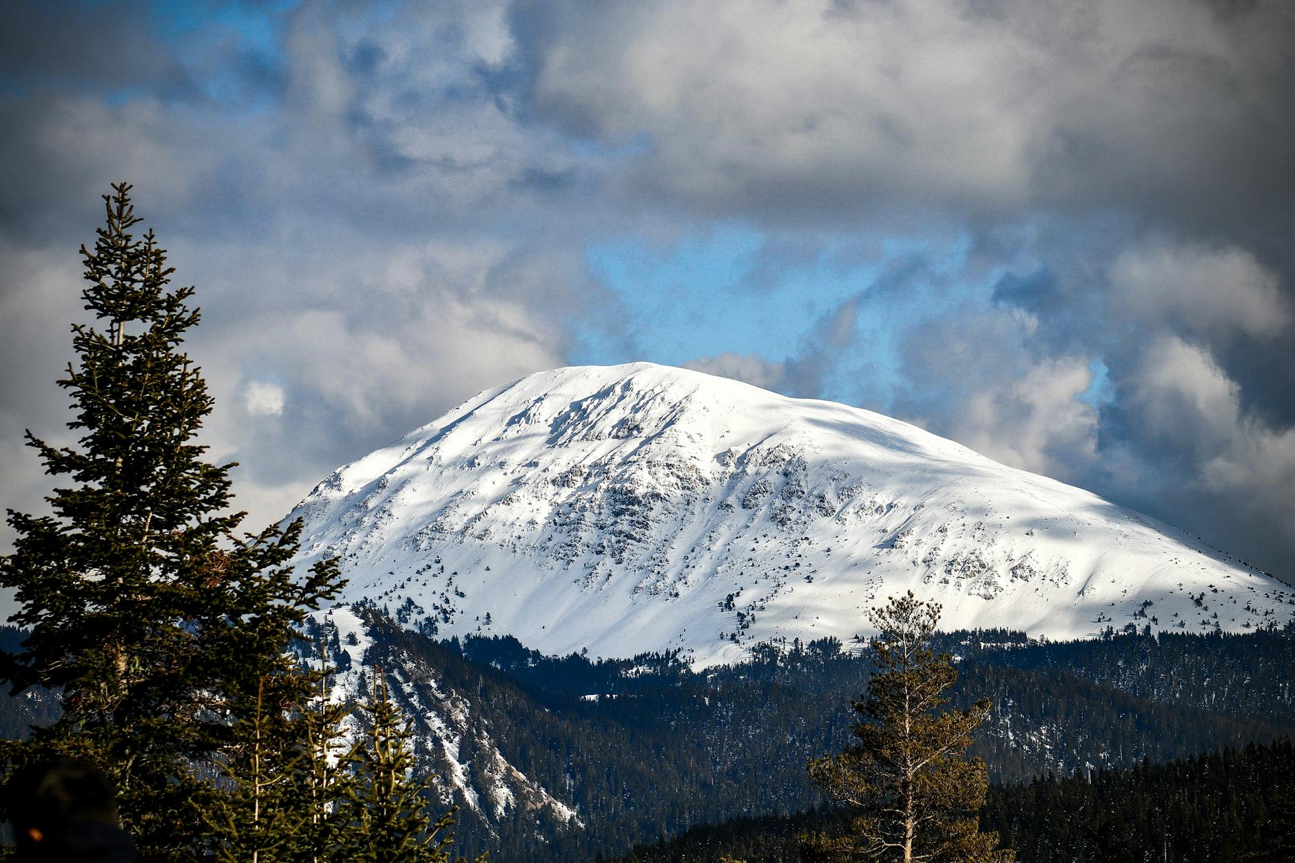 Lale Ilgaz then and now