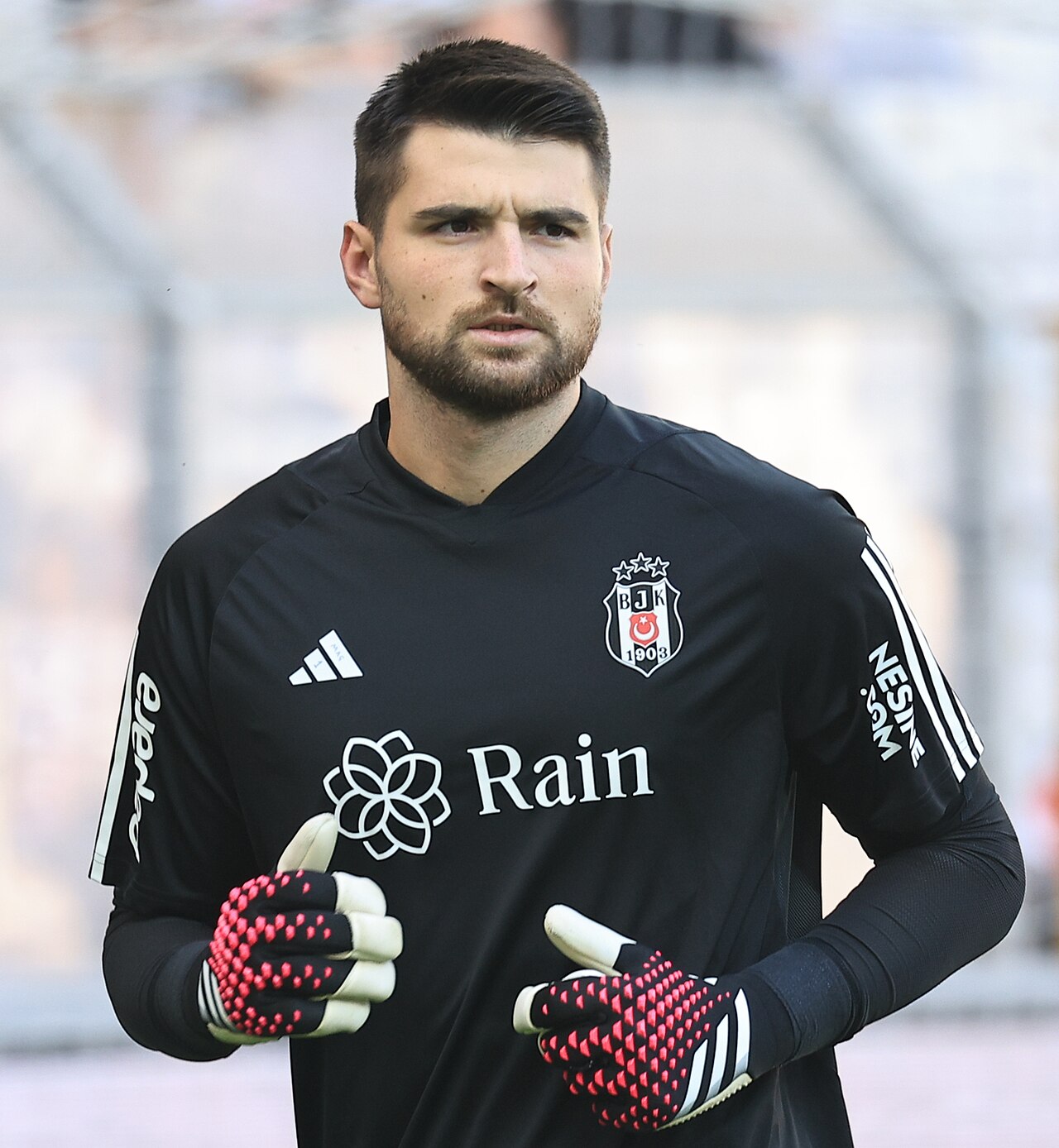 ersin destanoğlu kimdir