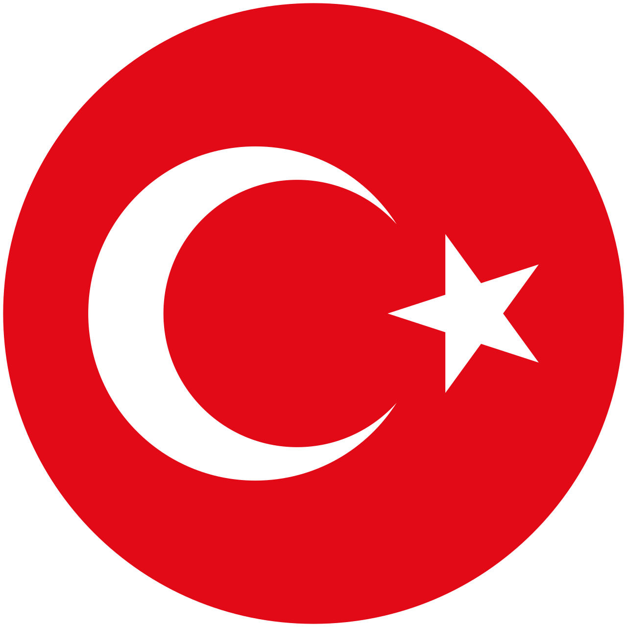 A Milli Takım