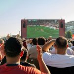 Hollanda İsveç Dünya Kupası