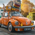 Aras kardeşini bulacak mı