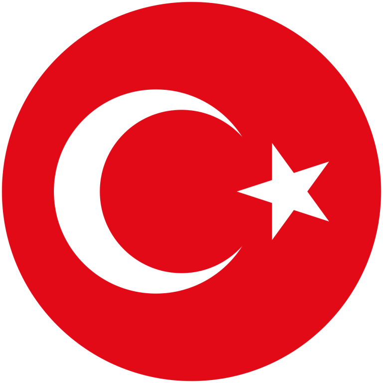 milli takım finalde kaybetti