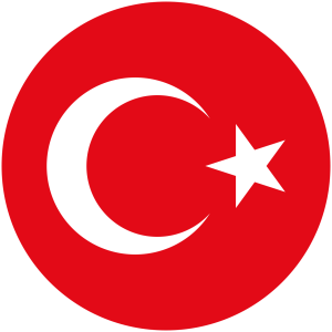 Milli Takım 2026 Dünya Kupası