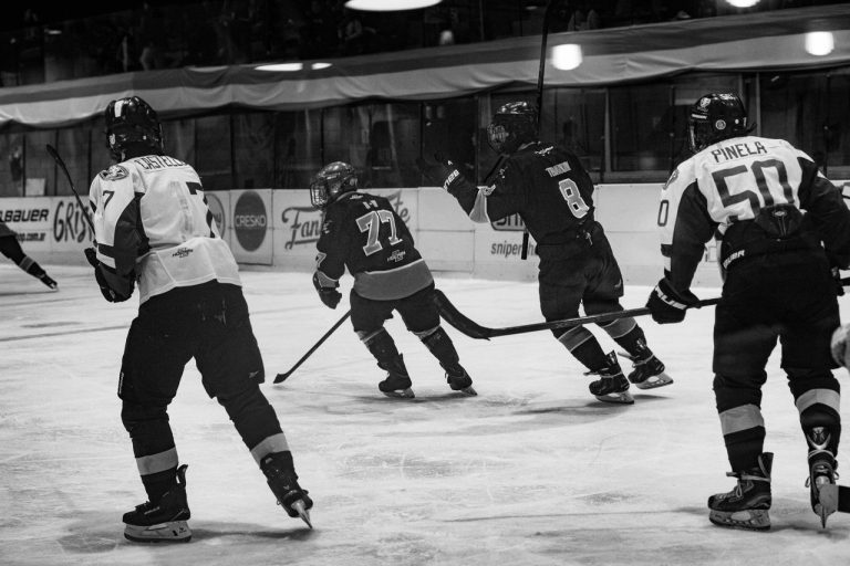 hockey dünya kupası